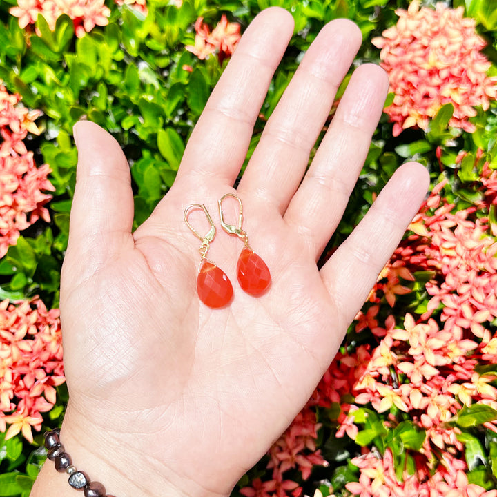 Carnelian Sterling Silver Earrings