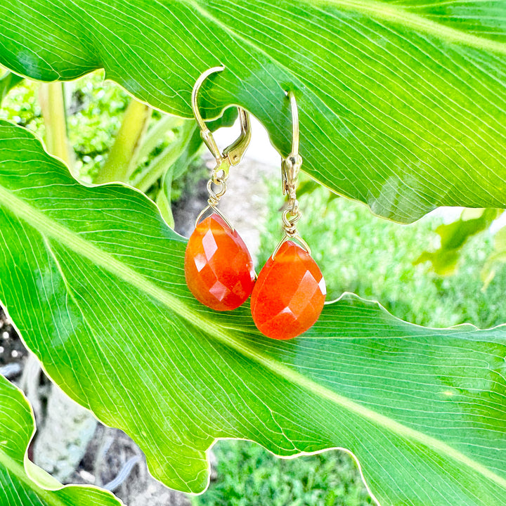 Carnelian Sterling Silver Earrings