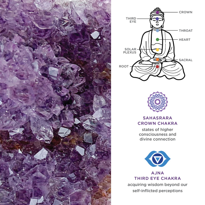 Teardrop Purple Amethyst Earrings