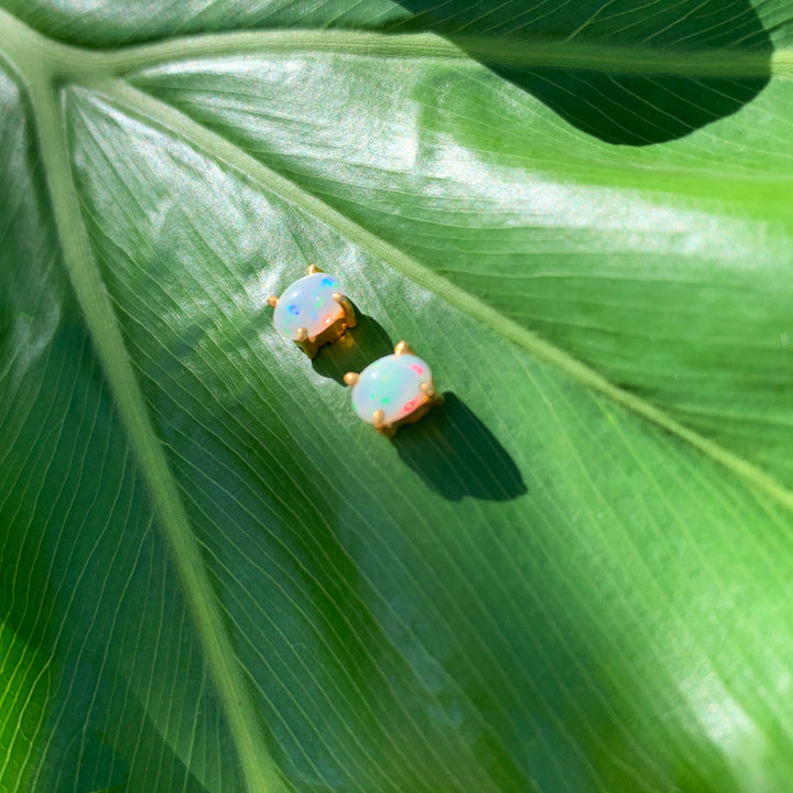 Opal Studs