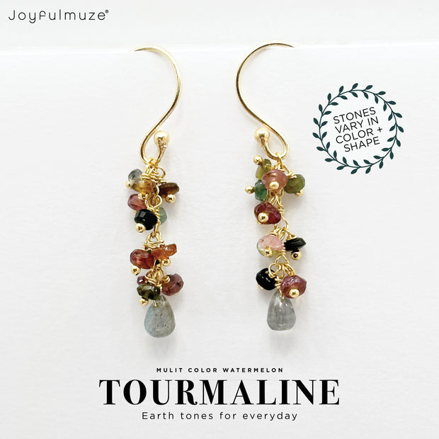 Multi Color Tourmaline and Labradorite Earrings