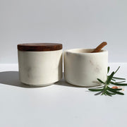 salt and pepper containers with lid & spoon
